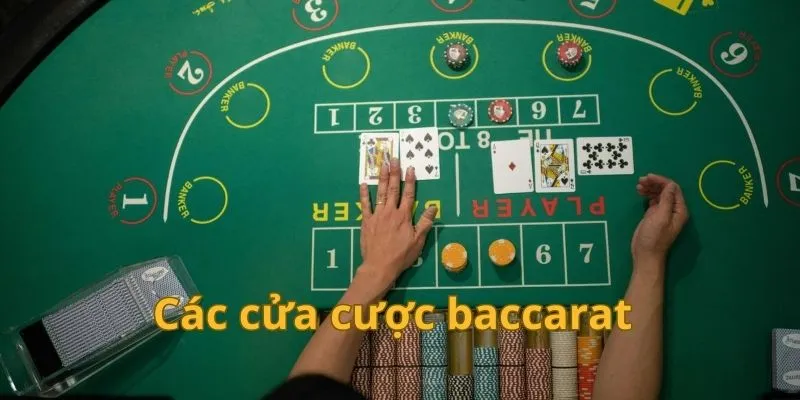 Baccarat có đến 16 cửa cược cho hội viên lựa chọn: